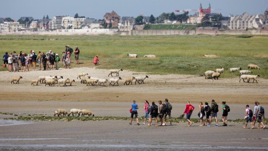 Les Arts - Cocon Romantique En Baie De Somme Boismont  Экстерьер фото